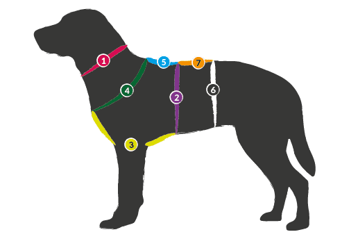 Messanleitung-Hundehalsband-Hundegeschirr