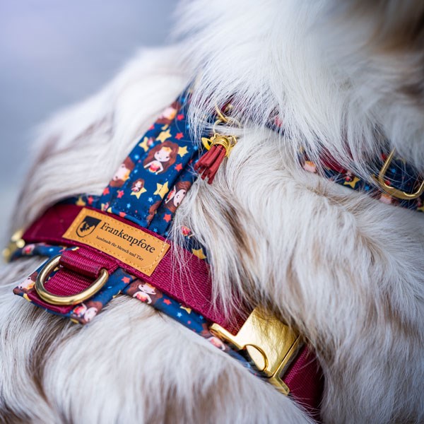 Bailey-Aussie-wonderwoman-Pawenger-bordeaux-600