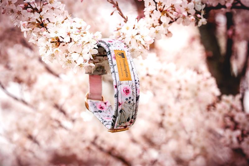 Frankenpfote Halsband Blüten (1) Frankenpfote Halsband Blüten (1)