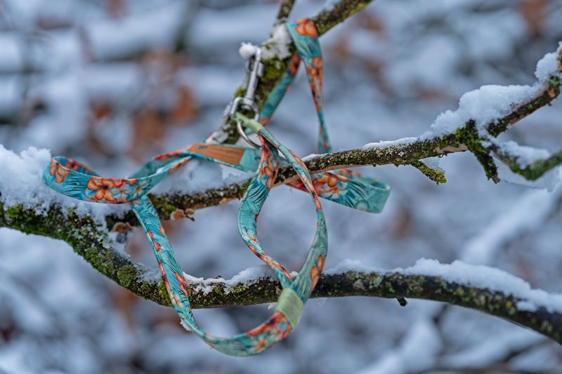 Frankenpfote Leine Kurzführer Schnee