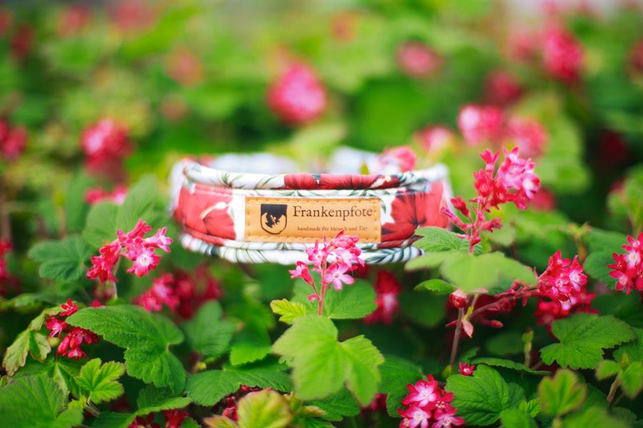 Frankenpfote Sommerkollektion Geschirr Halsband rote Blumen Hisbiskus (1)