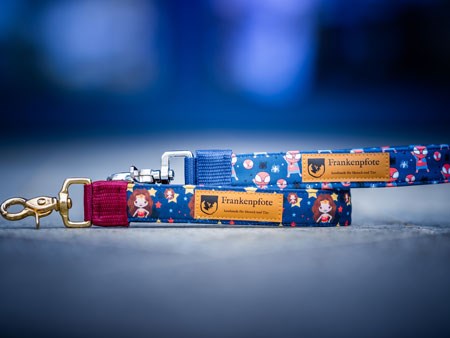 Pawenger-Kurzführer-blau-450-mitte