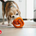 Frankenpfote PLAY Hundespielzeug Quietscher Pretzel