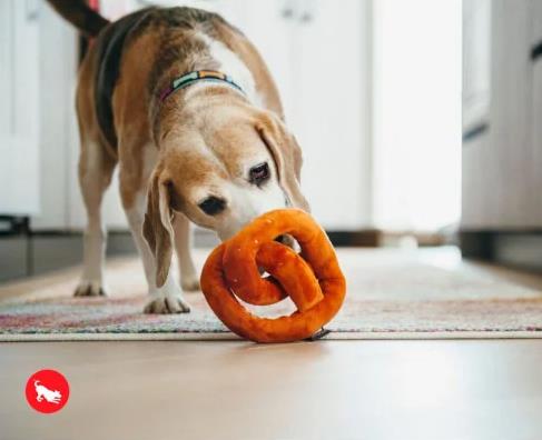 Frankenpfote PLAY Hundespielzeug Quietscher Pretzel