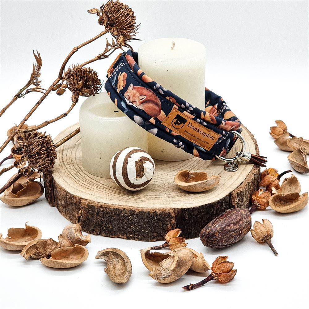 Halsband gepolstert Fuchs individuell Halsband gepolstert Fuchs individuell