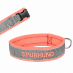 Spürhund Lachs