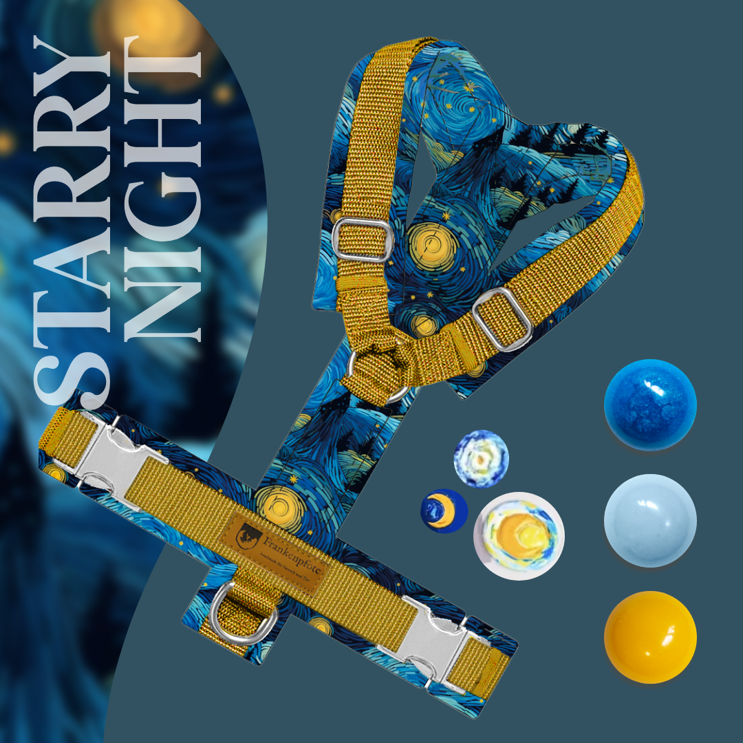 Brushstroke Garden Starry Night