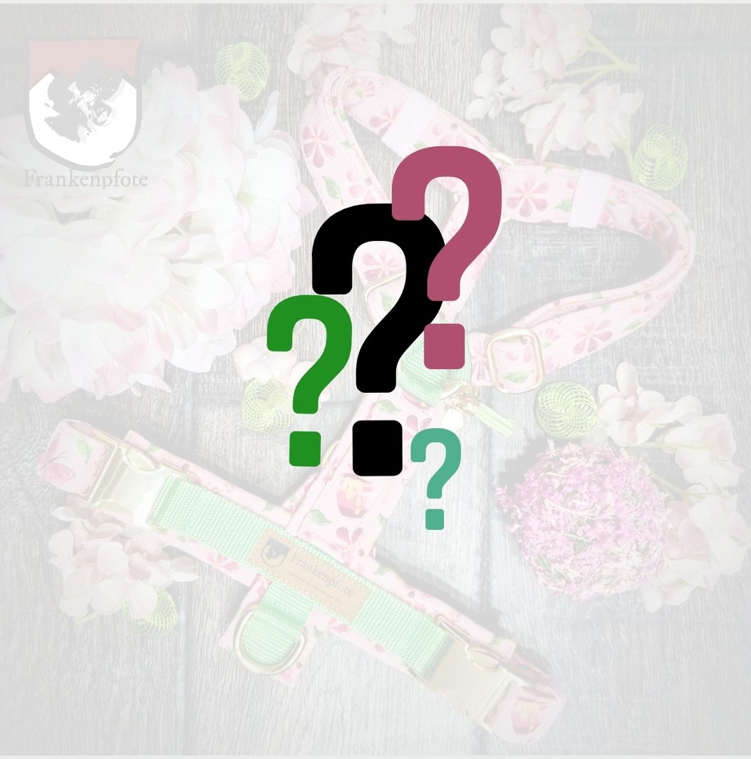 Suprise Brustgeschirr FraLuxe Suprise Brustgeschirr FraLuxe