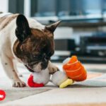 Frankenpfote PLAY Hundespielzeug Quietscher Sushi