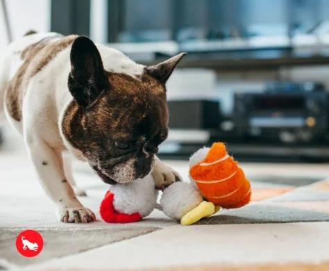 Frankenpfote PLAY Hundespielzeug Quietscher Sushi