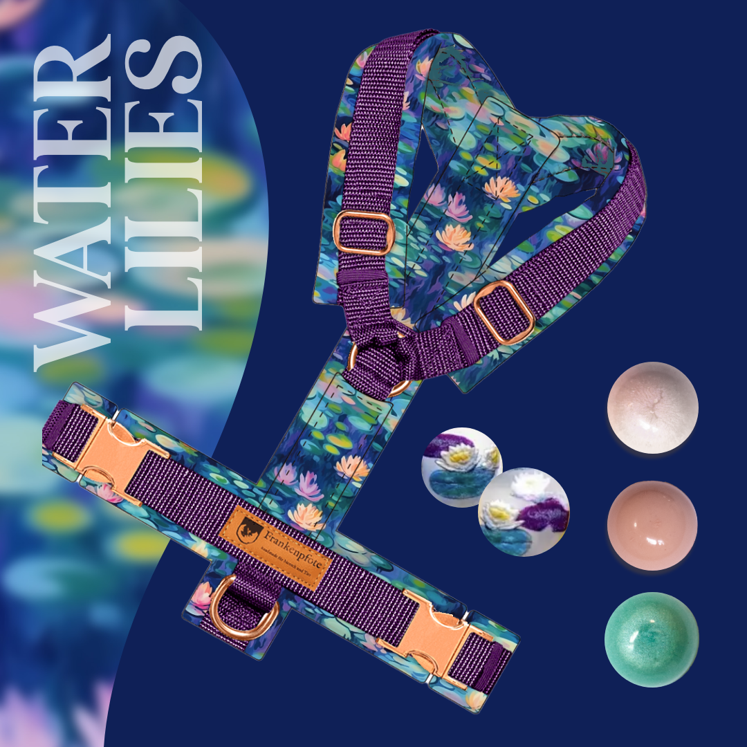 Brushstroke Gardens Water Lillies