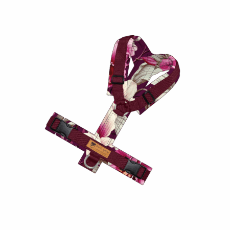 Konfigurator Standard-Brustgeschirr